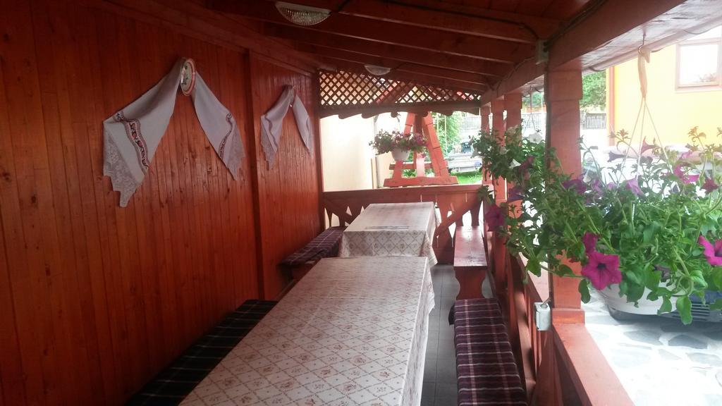 Pensiunea Adi Sapinta Exterior foto